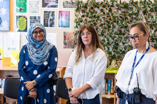 Psychologists, programme facilitators and mental health practitioners